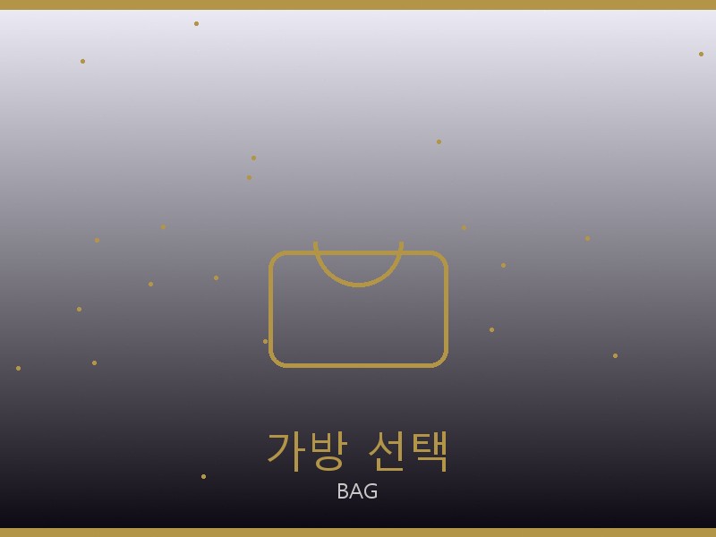미우미우 디저니 백 S급 가방 선택 가이드