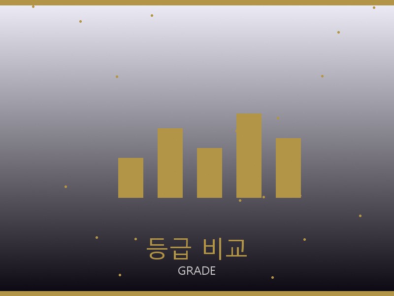미우미우 디저니 백 S급 등급 기준 비교
